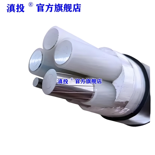 www.wssst11.cn